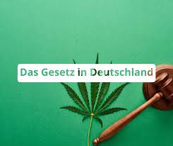 Cannabisclubarnstadt.de
csc-Arnstadt
CC-Arnstadt
Cannabis-club.arnstadt.de
Cannabisclub.arnstadt.de