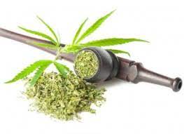 Cannabisclub Arnstadt e.V.
CannabisProduktion in Arnstadt
Hanf aus Arnstadt
Weed aus Arnstadt
Gras aus Arnstadt